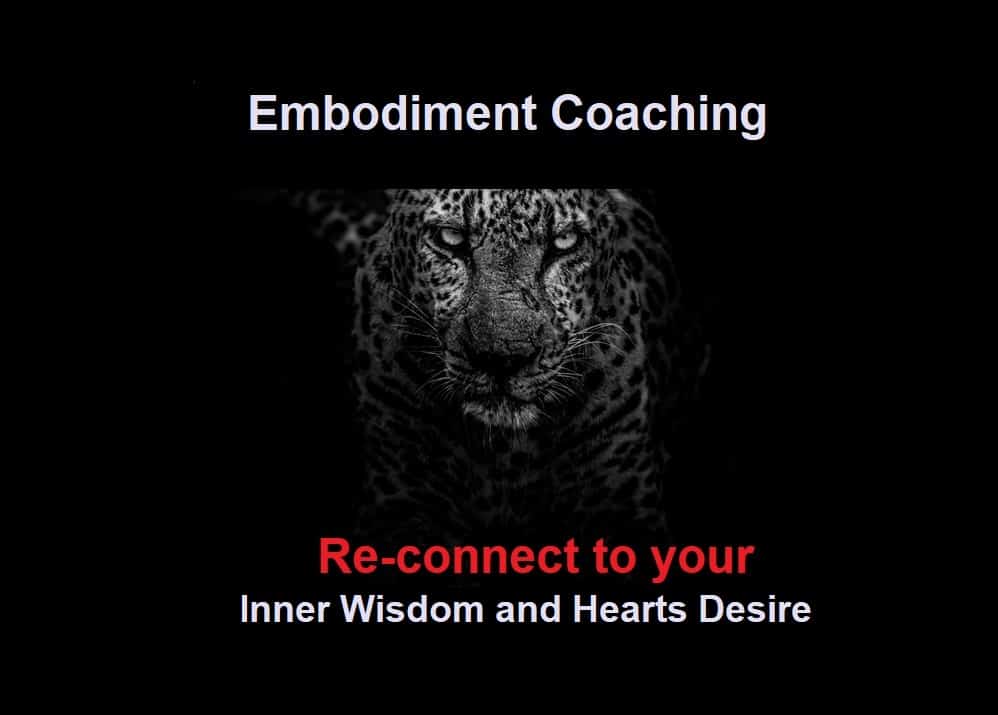 Embodiment Coaching Free Session 30 mins Dance 4 Fitness